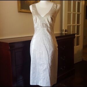 ❤️NWT Chaiken Sheath Dress - 8